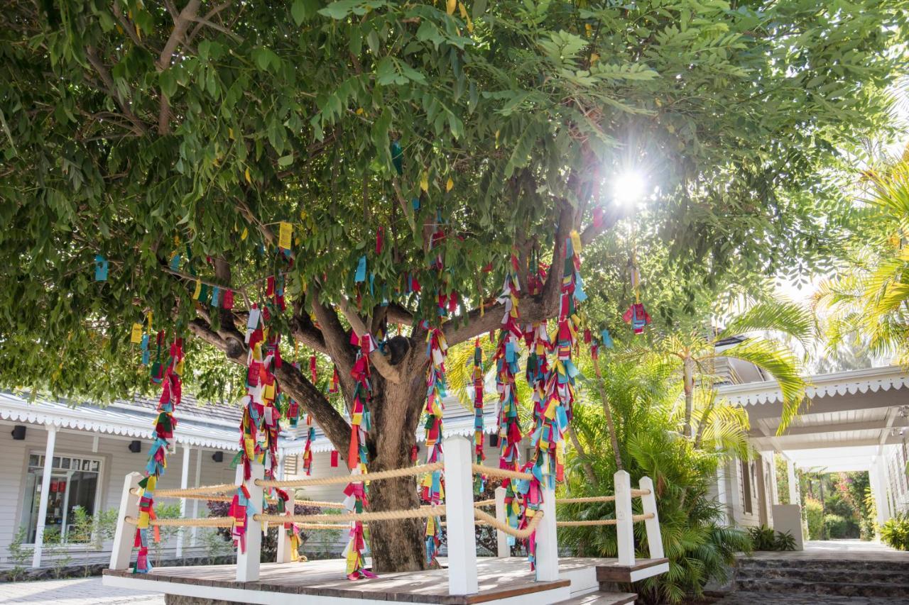 Lux* Saint Gilles Resort Exterior photo The Tree of Life at the University of Miami